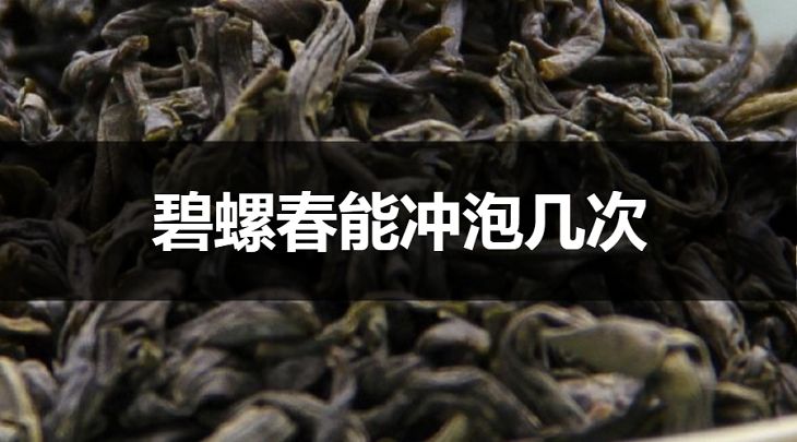 碧螺春能沖泡幾次？