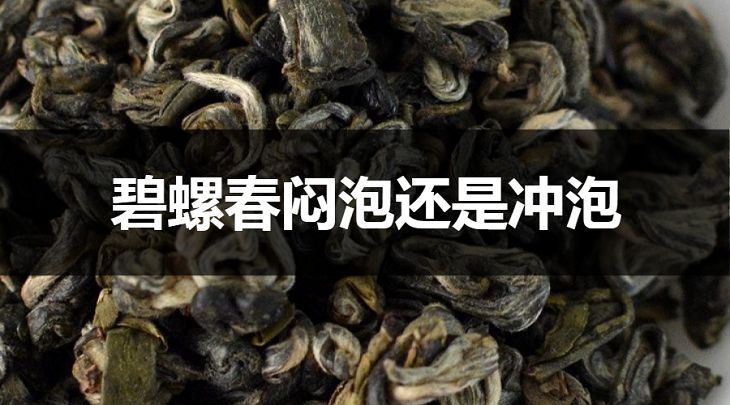 碧螺春悶泡還是沖泡？