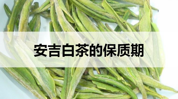 安吉白茶的保質(zhì)期是多久