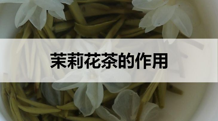 茉莉花茶的作用有哪些？