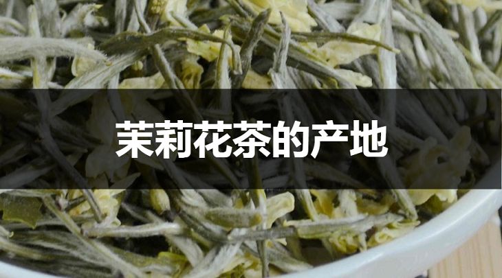 茉莉花茶的產(chǎn)地在哪里？