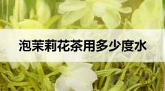 泡茉莉花茶要用多少度水？