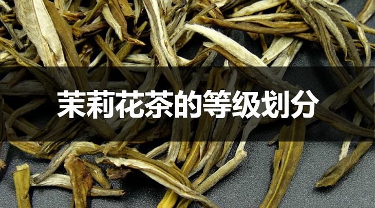 茉莉花茶的等級(jí)劃分