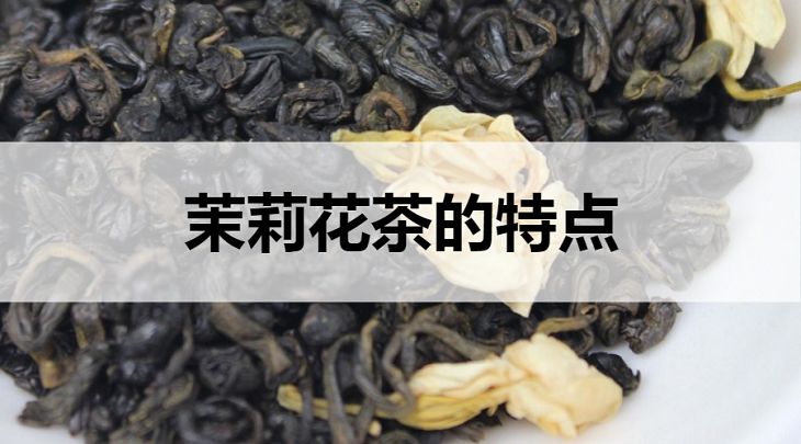 茉莉花茶的特點有哪些？