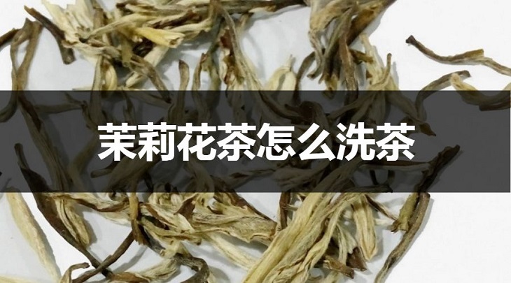 茉莉花茶怎么洗茶？