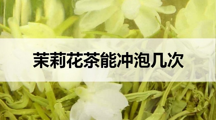 茉莉花茶可以沖泡幾次？