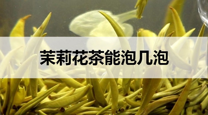 茉莉花茶能泡幾泡？