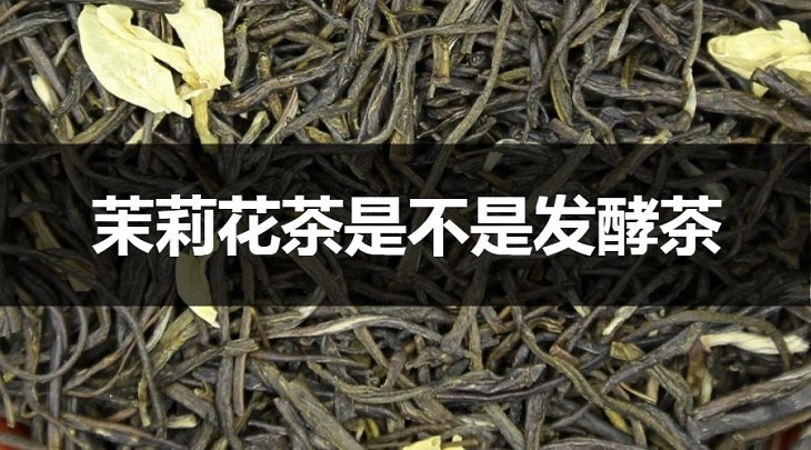 茉莉花茶是不是發(fā)酵茶嗎？