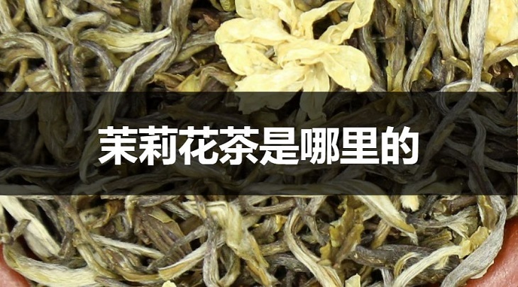 茉莉花茶是哪里的？