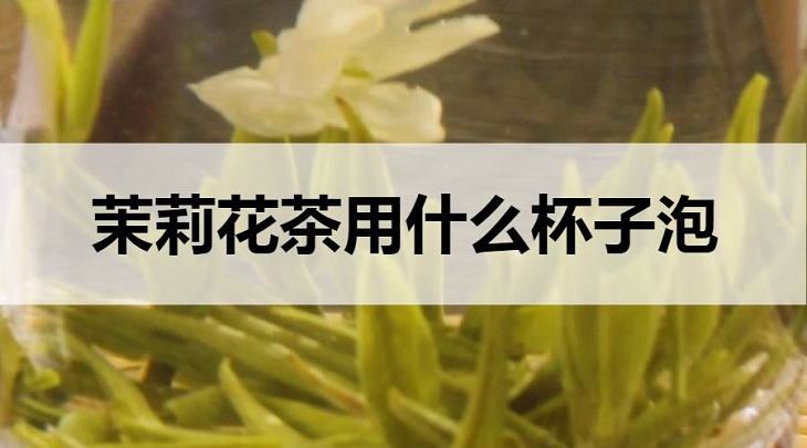 茉莉花茶用什么杯子泡？