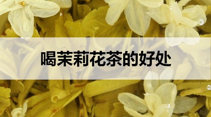 茉莉花茶的好處有哪些？