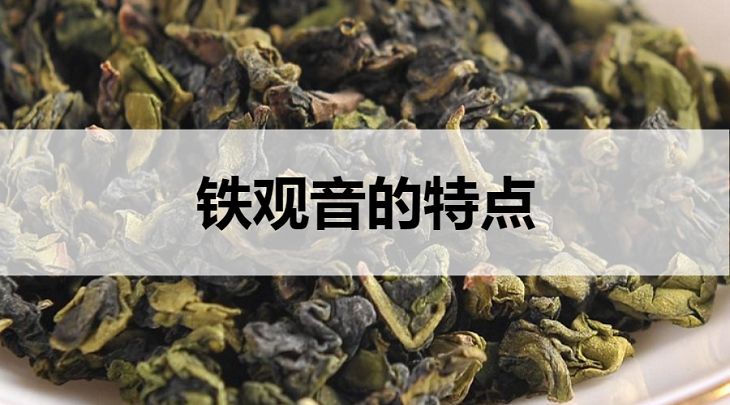 鐵觀音的特點有哪些？