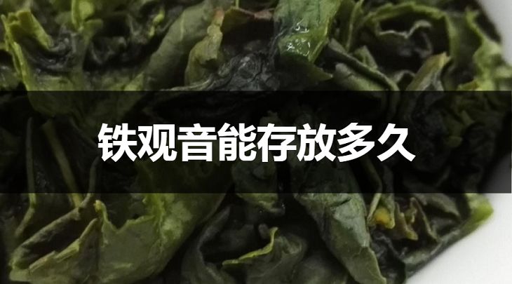 鐵觀音能存放多久？