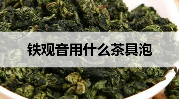 鐵觀音用什么茶具泡？