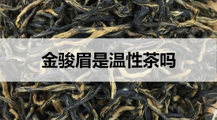 金駿眉是溫性茶嗎？