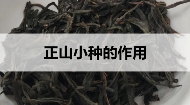 正山小種的作用有哪些？