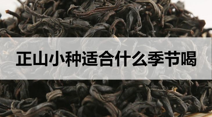 正山小種適合什么季節(jié)喝？