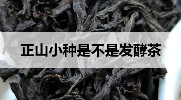 正山小種是不是發(fā)酵茶？