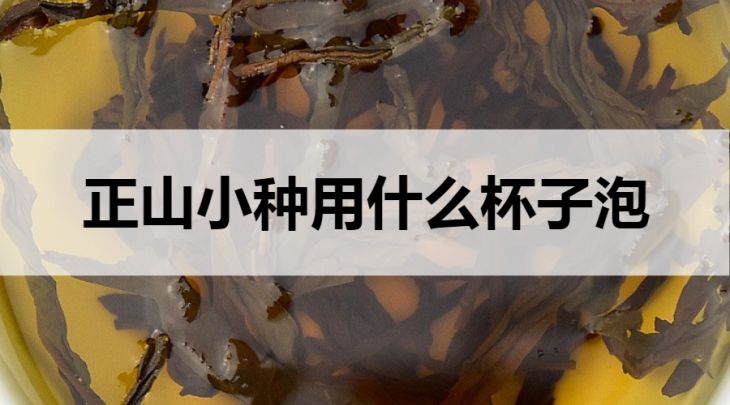 正山小種用什么杯子泡？