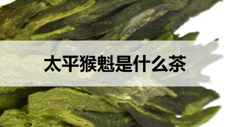 太平猴魁是什么茶？