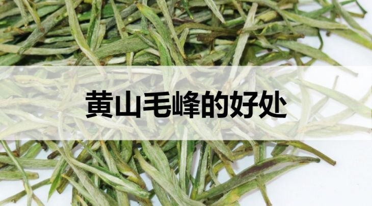 黃山毛峰的好處有哪些？