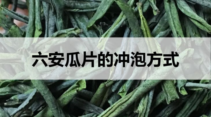 六安瓜片的沖泡方式