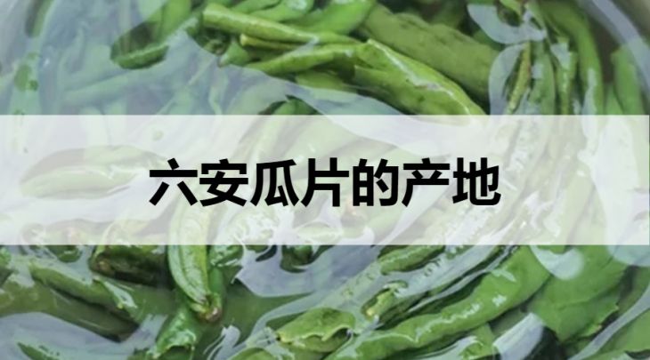 六安瓜片的產(chǎn)地在哪里？