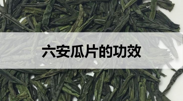 六安瓜片的功效有哪些？