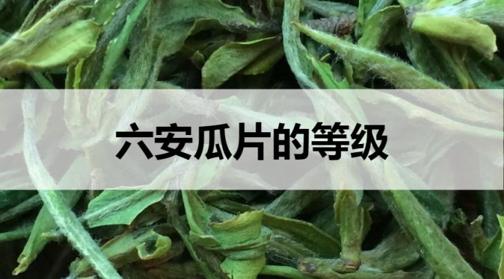 六安瓜片的等級(jí)劃分