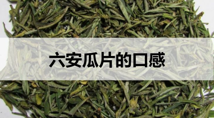 六安瓜片的口感怎么樣？