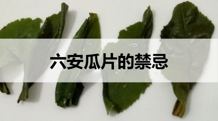 六安瓜片的禁忌有哪些？