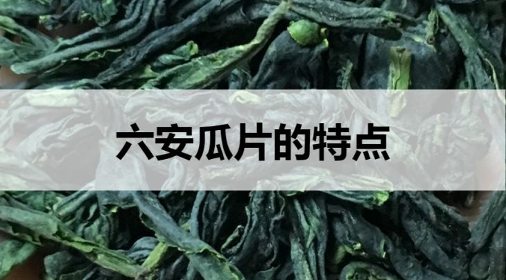 六安瓜片的特點有哪些？