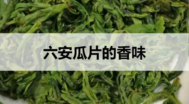 六安瓜片的香味怎么樣？