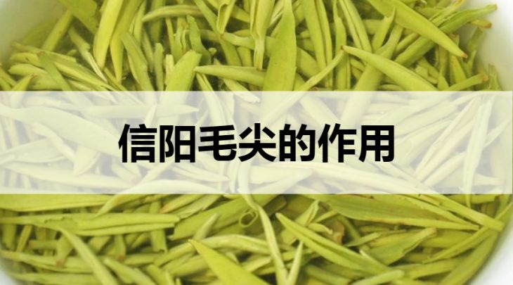 信陽(yáng)毛尖的作用有哪些？