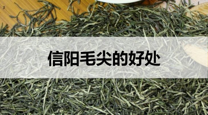 信陽毛尖的好處有哪些？