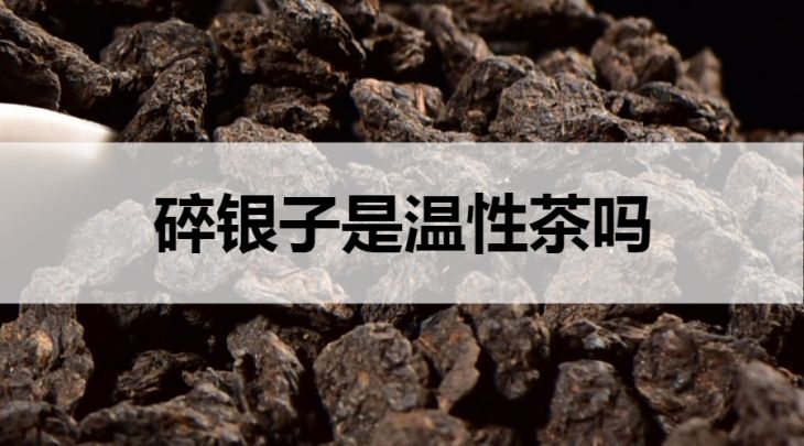 碎銀子是溫性茶嗎？