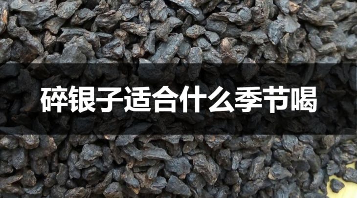 碎銀子適合什么季節(jié)喝？