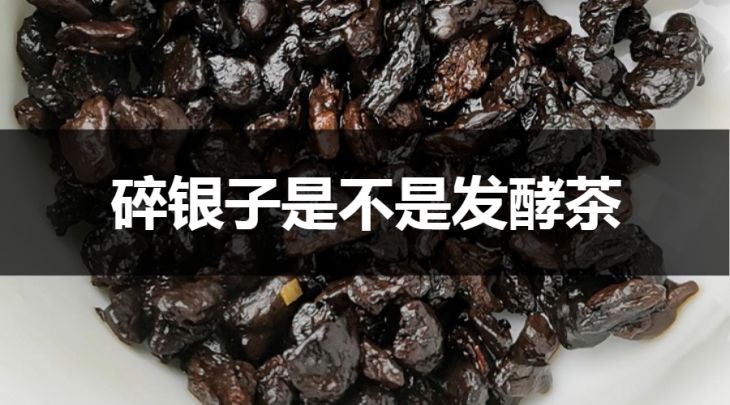 碎銀子是不是發(fā)酵茶？