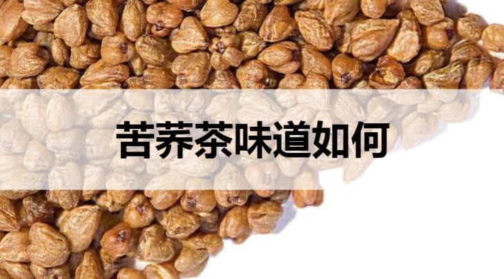 苦蕎茶的味道如何？