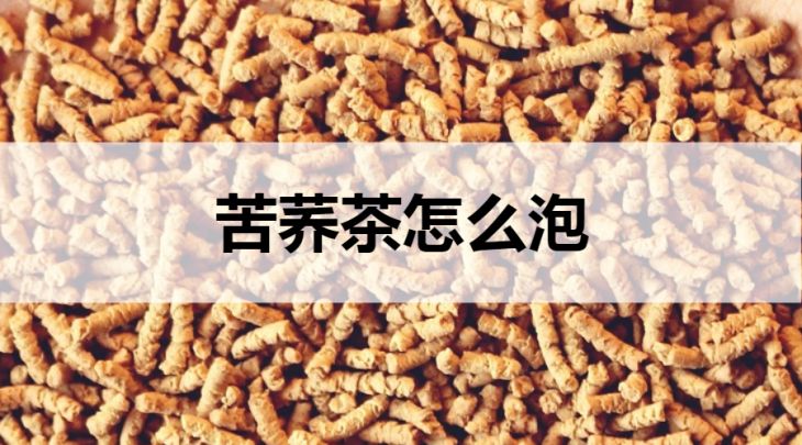 苦蕎茶怎么泡？