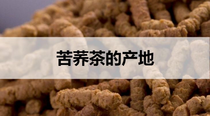 苦蕎茶的產(chǎn)地在哪里？