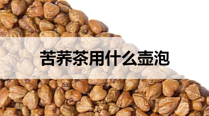 苦蕎茶適合什么壺泡？