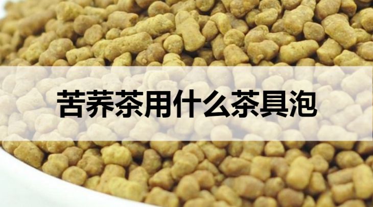 苦蕎茶用什么茶具泡？