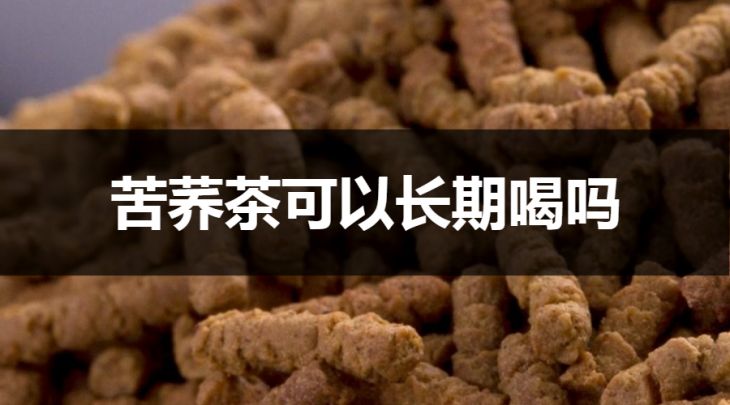 苦蕎茶可以長期喝嗎？