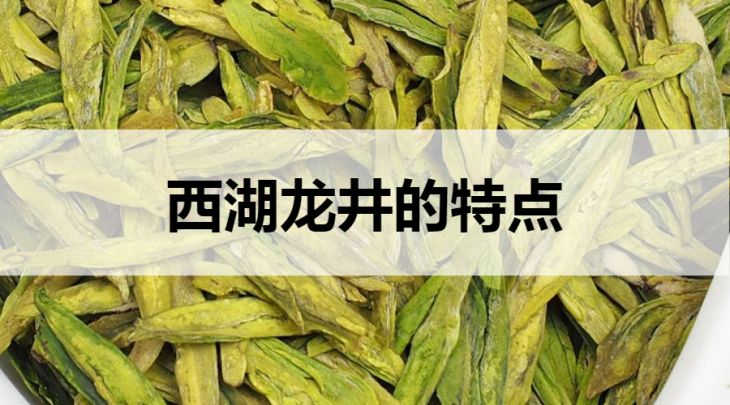 西湖龍井的特點有哪些？