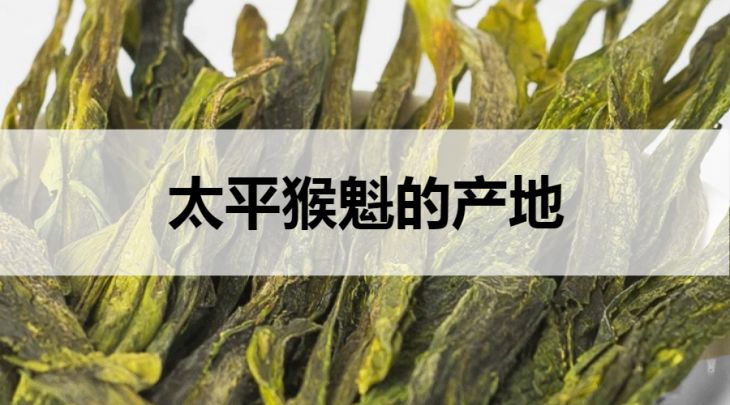 太平猴魁的產(chǎn)地在哪里？