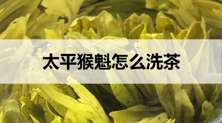 太平猴魁怎么洗茶？