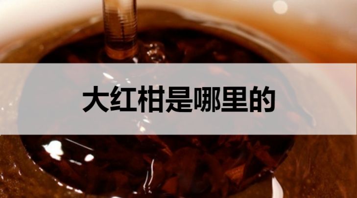 大紅柑普洱茶是哪里的？