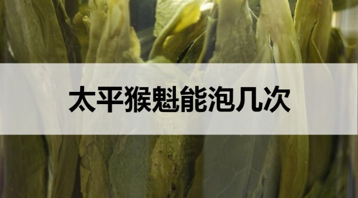 太平猴魁能沖泡幾次？