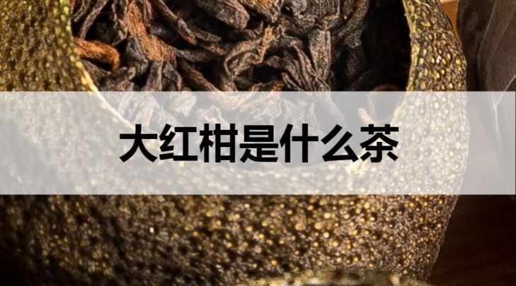 大紅柑普洱茶是什么茶？